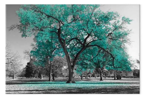 Quadro su tela Autunno nel parco turchese largo