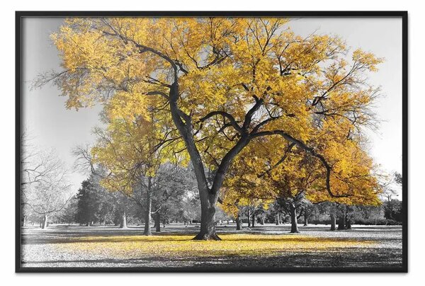 Poster: Autunno nel parco (oro) - paesaggio grigio di alberi con foglie dorate