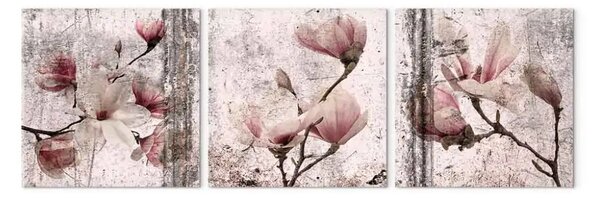 Quadro Texture Floreale del Rosa - magnolie in una natura rustica
