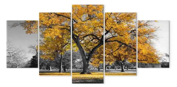 Quadro contemporaneo Autunno nel parco (5 pezzi) largo oro