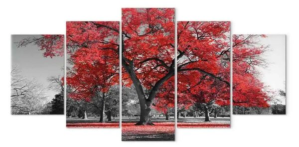 Quadro contemporaneo Autunno nel parco (5 pezzi) largo rosso