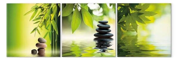 Quadro su tela Oriente Verde sulle Acque - esotica zen natura dei fiori
