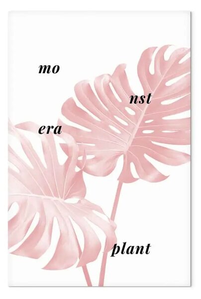 Quadro moderno Foglie di monstera rosa con scritta