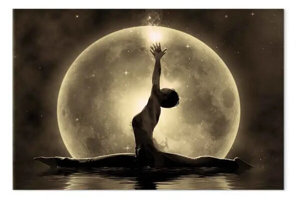 Quadro su tela Raggiungere le stelle - ballerina sullo sfondo dell'acqua e la luna