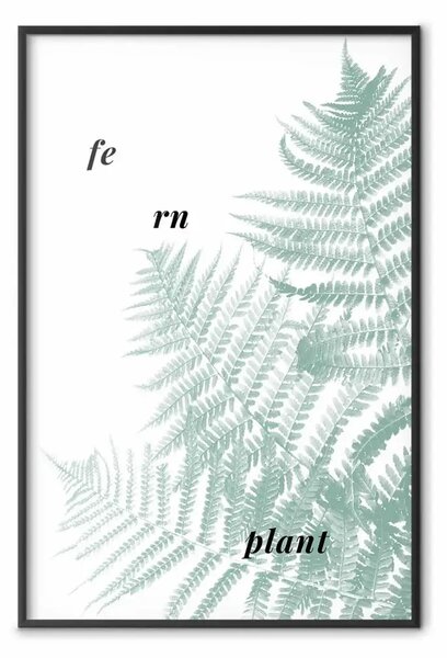 Poster: Pianta di Felce - foglia verde con scritte in inglese su sfondo bianco