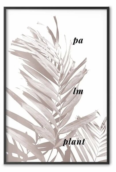 Poster: Pianta di Palma - foglia di palma con scritte