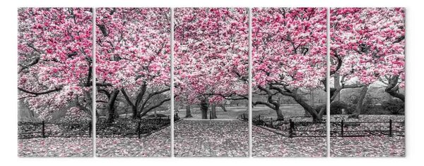 Quadro Parco di magnolie (5 pezzi) stretto rosa