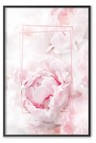 Poster: Bellezza effimera - figure rettangolari e fiori rosa alla luce
