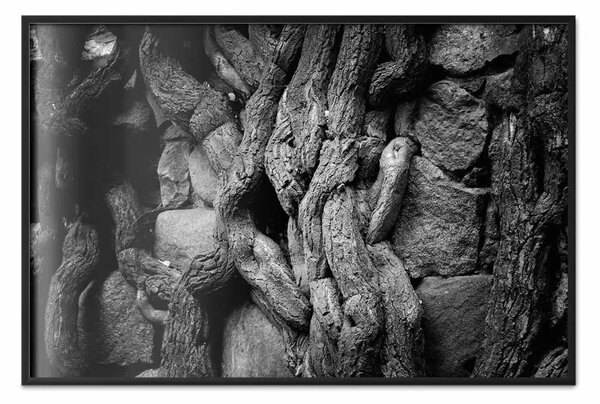 Poster: Pietre ricoperte - texture in bianco e nero di legno e pietre
