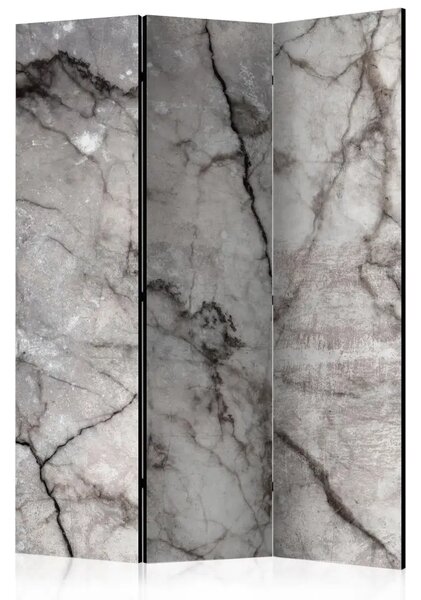 Paravento separè Marmo grigio - texture di marmo grigio con disegni scuri