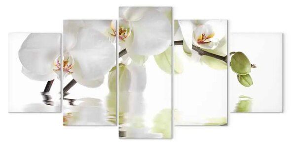 Quadro moderno Orchidea - motivo astratto con un fiore bianco su uno sfondo bianco