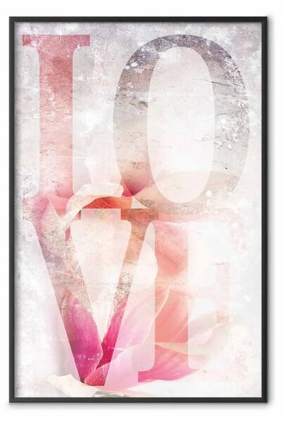 Poster: Amore magnolia - testo colorato in inglese su sfondo di cemento