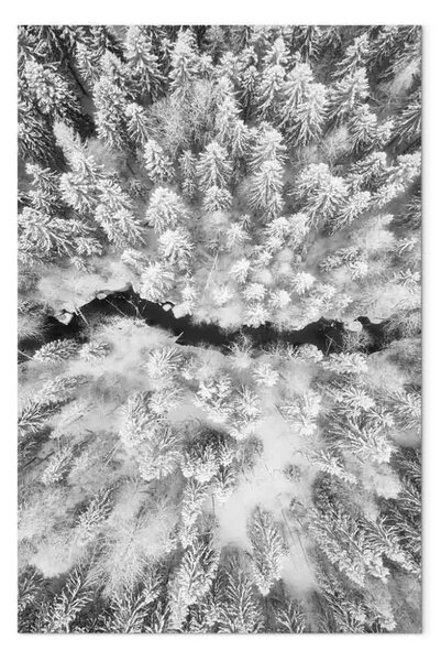 Quadro Foresta invernale vista dall'alto - foto in bianco e nero