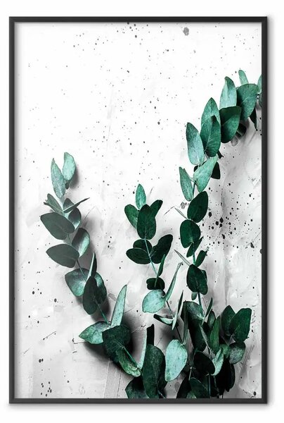 Poster: Profumo di eucalipto - foglie verdi della pianta su sfondo di cemento