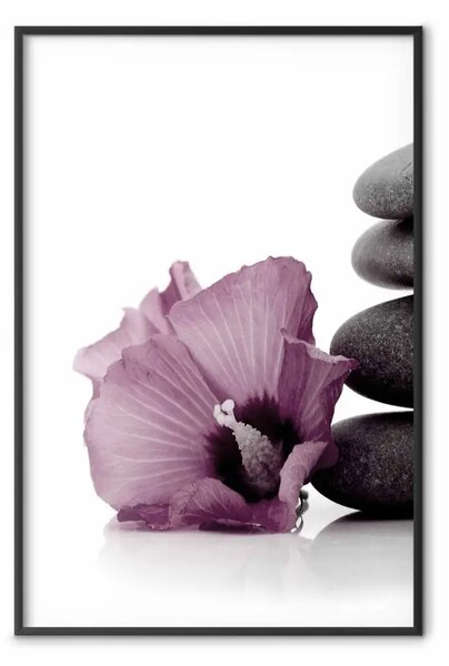 Poster: Calma di pietra - pianta con fiore rosa e sassi in stile zen
