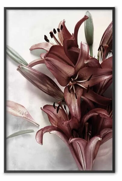 Poster: Forma floreale - pianta fiori rossi su sfondo cementizio