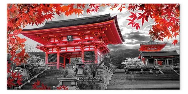 Quadro su tela Kyoto, Giappone