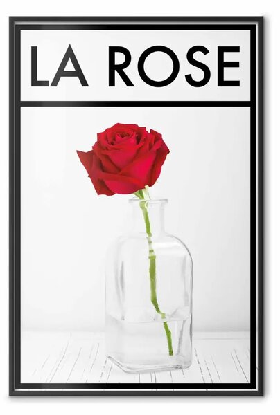 Poster: La Rosa - scritte in inglese e rosa rossa in un vaso d'acqua