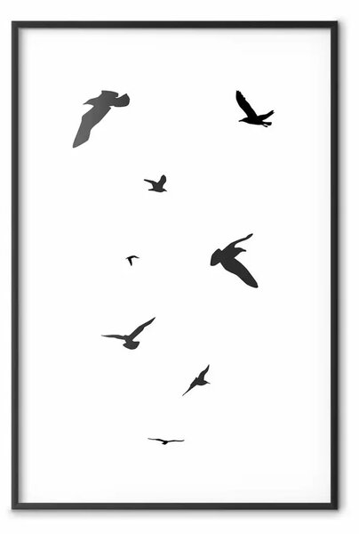 Poster: Volo serale - uccelli fantastici in bianco e nero su sfondo bianco