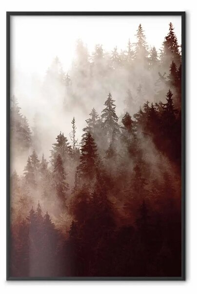 Poster: Bosco bruno - paesaggio tra alberi nella nebbia