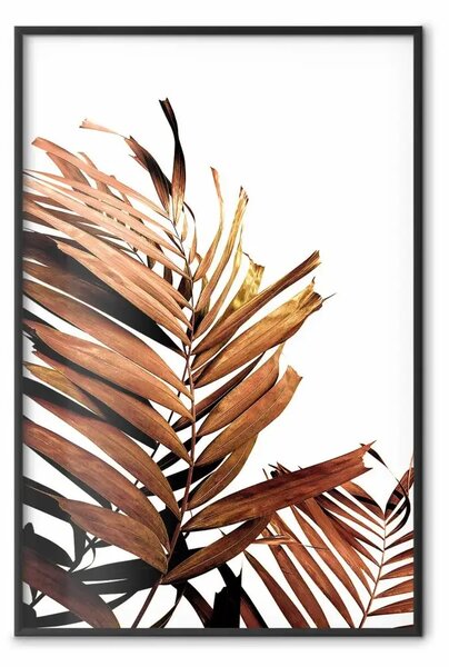 Poster: Effetto solare - foglia tropicale color marrone su sfondo bianco