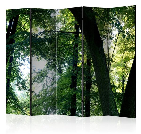 Paravento design Primavera nel parco II - paesaggio di alberi e foglie