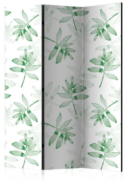 Paravento design Rami acquerellati - foglie delicate su sfondo bianco