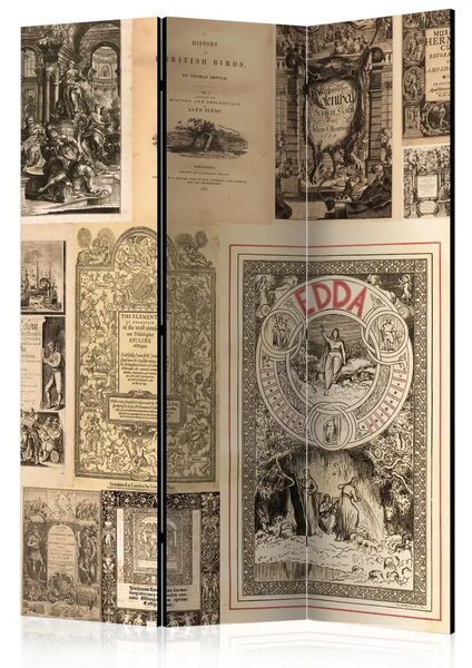 Paravento separè Libri vintage - composizione con vecchi libri in stile retrò