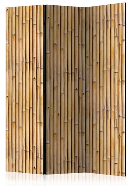 Paravento design Muro amazzonico - motivo marrone con motivo vegetale