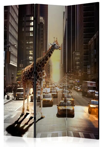 Paravento separè Giraffa in città - animale in una strada trafficata