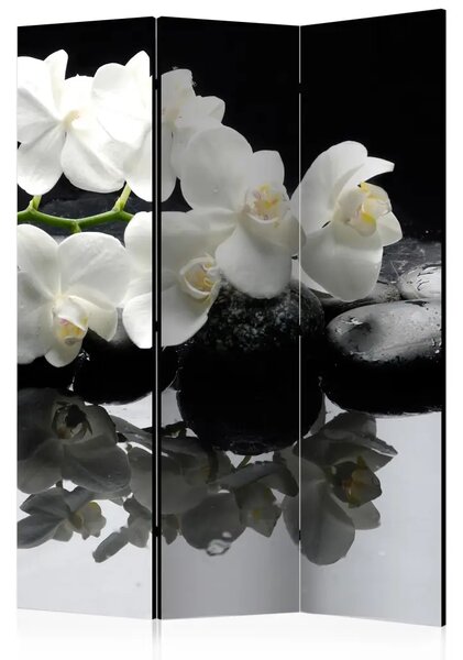 Paravento design Pietre e orchidea - composizione floreale su sfondo nero