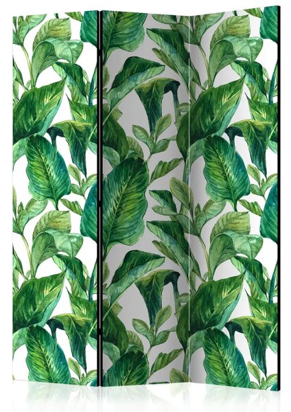 Paravento Eden tropicale - piante esotiche verdi su sfondo bianco