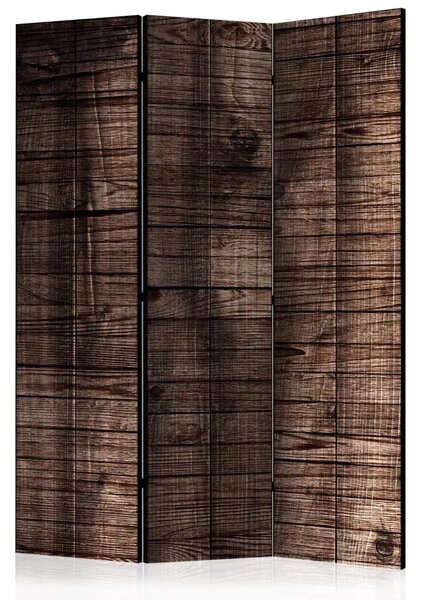 Paravento Assi marroni scuri - sfondo retrò a texture di legno