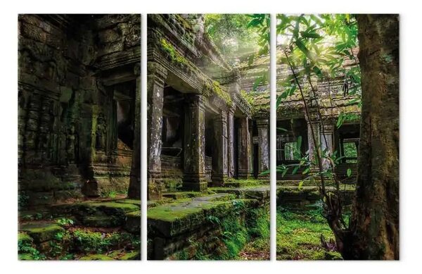 Quadro contemporaneo Tempio di Preah Khan - architettura asiatica piena di piante