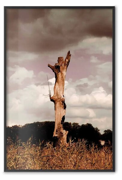 Poster: Ricordo del cielo - tronco d'albero su prato con cielo