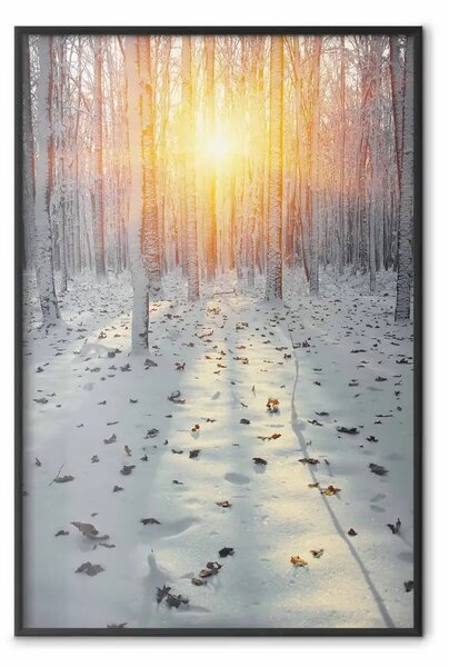 Poster: Pomeriggio invernale - bosco in atmosfera invernale al tramonto