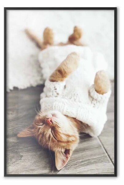 Poster: Gatto pigro - animale marrone in maglione bianco su pavimento di legno
