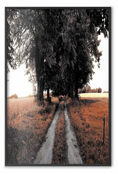 Poster: Strada per il bosco - paesaggio di strada e alberi
