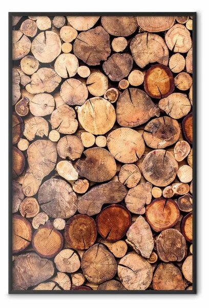 Poster: Interno dell'albero - texture del legno di cedro in diverse dimensioni