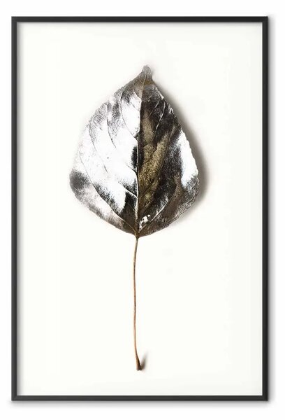 Poster: Gioiello d'inverno - foglia di pianta argentata su sfondo bianco