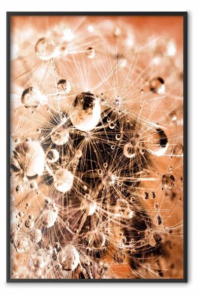 Poster: Momenti mattutini