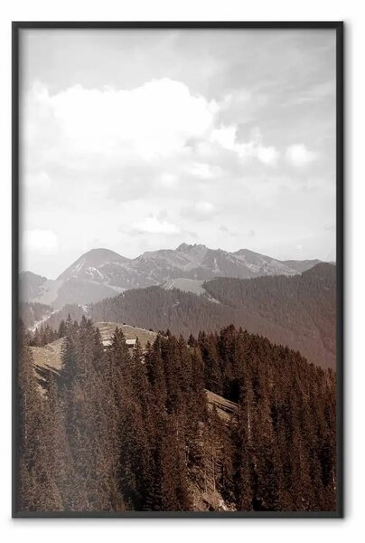 Poster: Paesaggio - panorama della valle con bosco sullo sfondo