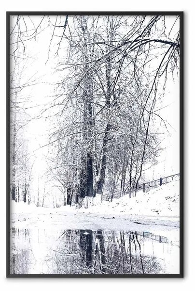 Poster: Dicembre - paesaggio invernale di alberi in bianco e nero