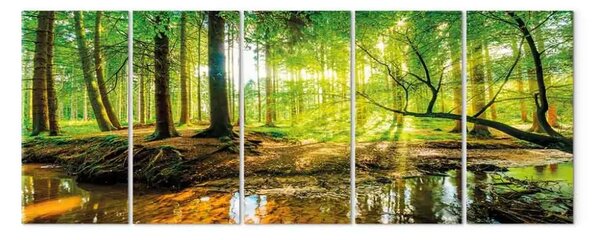 Quadro moderno Ruscello della foresta (5 pezzi) stretto