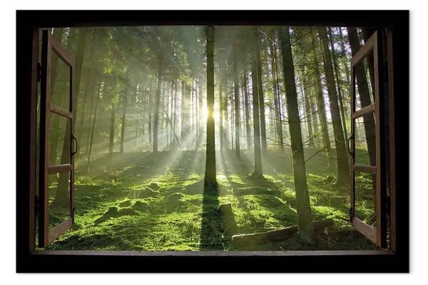 Quadro Alba nella foresta largo
