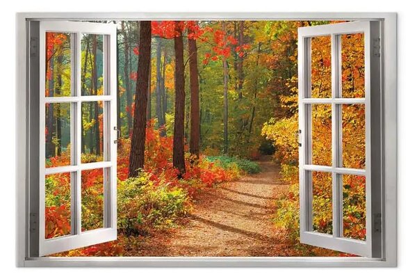Quadro moderno Autunno soleggiato largo