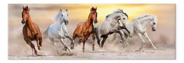 Quadro Cavallo soriano stretto