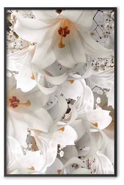 Poster: Soffio bianco - fiori di giglio bianchi su prato