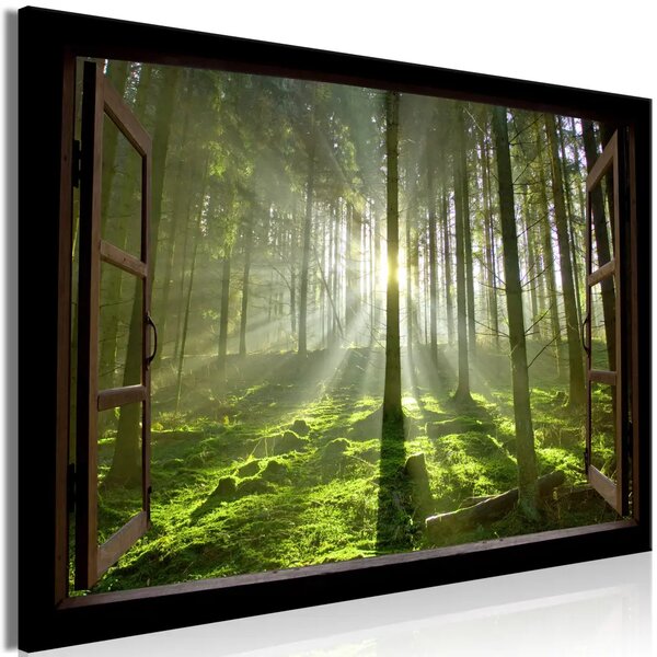 Alba nella foresta - vista dalla finestra su paesaggio forestale con sole tra gli alberi