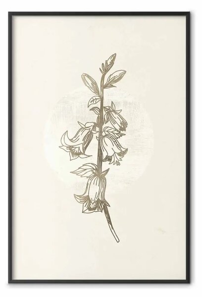 Poster: Motivo campestre - pianta con fiori su beige retro